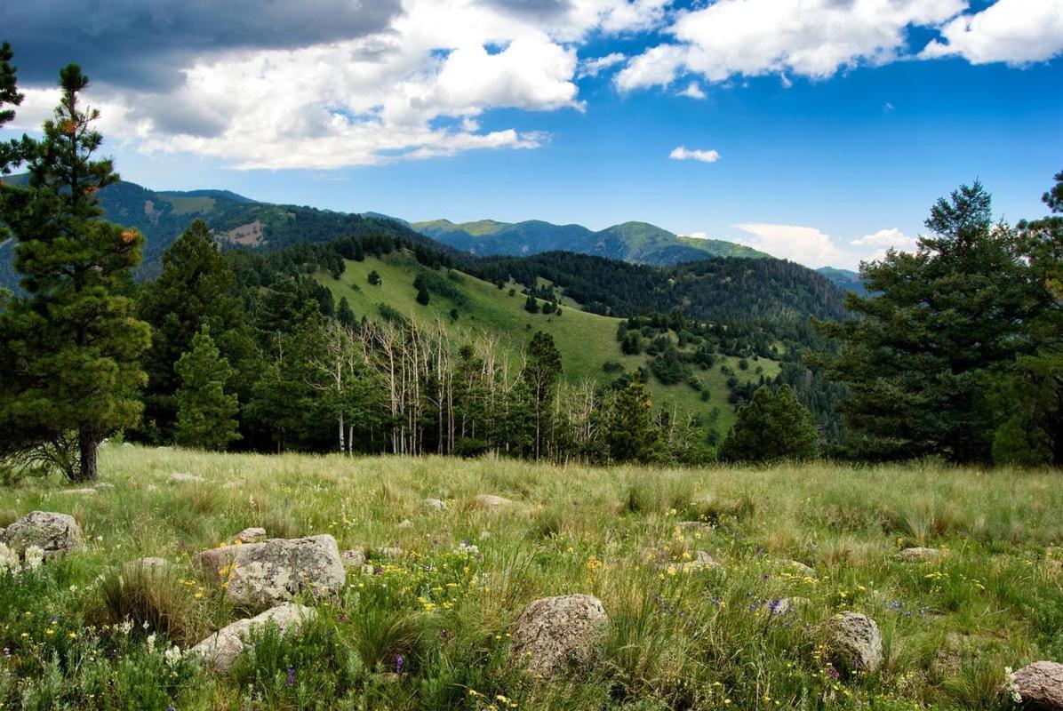 Tiny Two, 2 Bedrooms, Midtown, Sleeps 4 Ruidoso Esterno foto